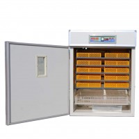 200W 880 eggs capacity automatic egg incubator HJ-IH880