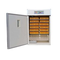 Hot sale full automatic egg incubator 1056 chicken eggs incubator for sale HJ-IH1056